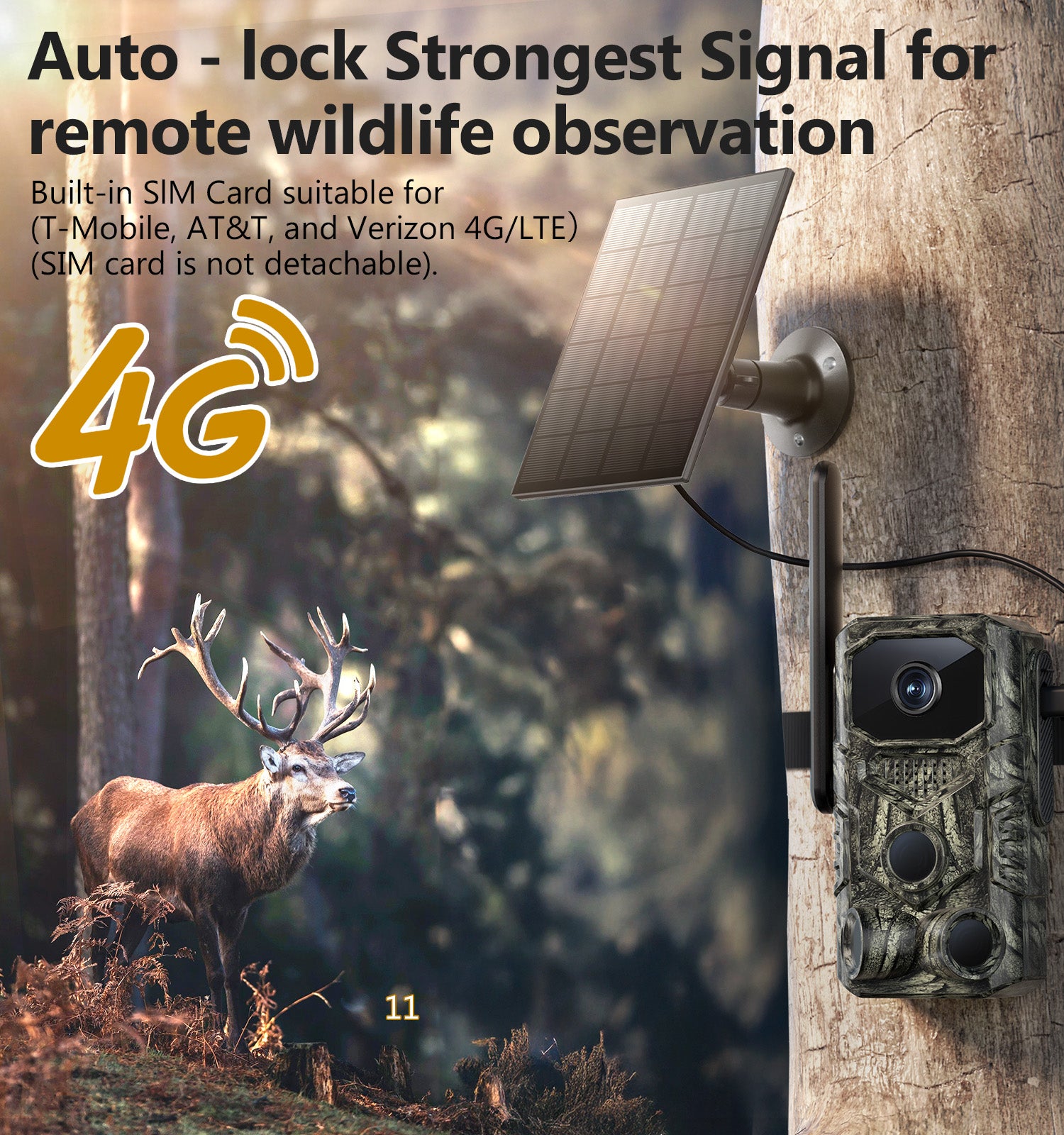 Trail Camera