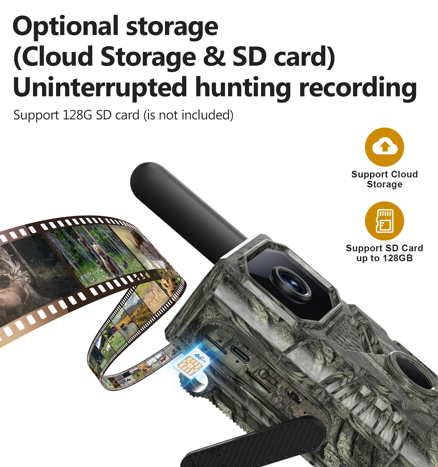 Trail Camera