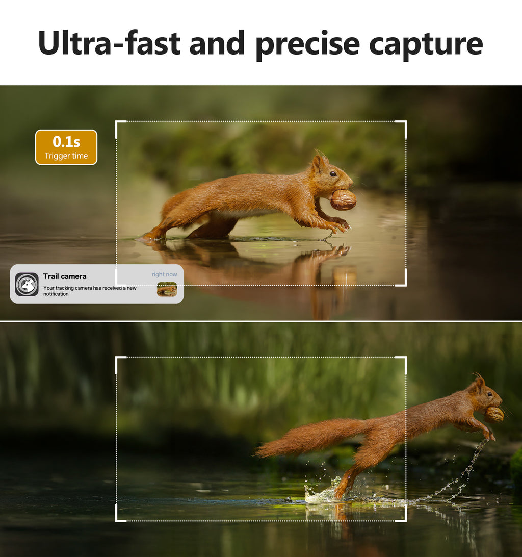 Trail Camera